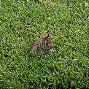 Meet your Posher, Ali